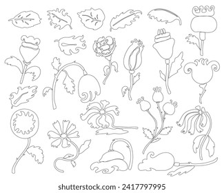A set of linear floral botanical abstract flowers and branches. Black outline highlighted on a white background, vector illustration, summer and spring wildflowers, garden flowers.