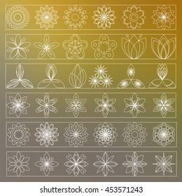 Set of linear flower symbols on a blurred background. Vector illustration.