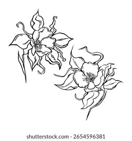 set of linear flower vector for outline decor