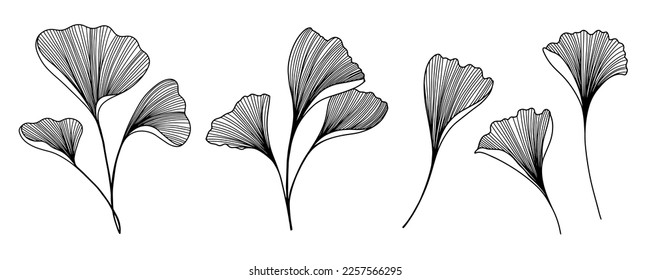 Conjunto de hojas de ginkgo biloba lineales. Planta blanca y negra. Arte de línea de estilo japonés con ramas. Ilustración vectorial botánica