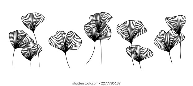 Set of linear ginkgo biloba leaves. Black and white plant. Japanese style line art with branches. Botanical vector illustration