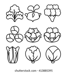 Set of linear icons with varieties of cabbage.