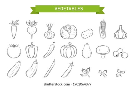 A set of linear icons for Vegetables, mushrooms, olives in Doodle style. . Design elements are hand-drawn and isolated on a white background. Black and white vector illustration