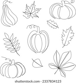 Set of linear illustrations. pumpkin and tree leaves