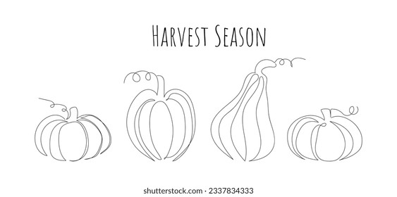 Set of linear illustrations of pumpkins of different sizes. Postcard for Harvest Season in line art style