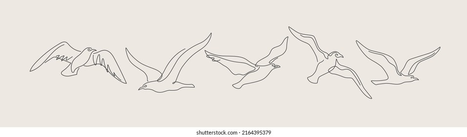 Set of linear images of flying birds. Continuous one-line drawing of a seagull. Black and white vector illustration on a light isolated background. 