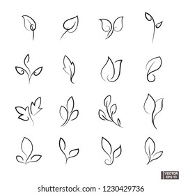 set of linear leaves icons elements. A set of curls and scrolls for design and decoration.