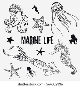 Set of linear marine life in the sketch style: octopus, jellyfish, two starfish, seahorse, squid/Hand drawn the inhabitants of the underwater world 