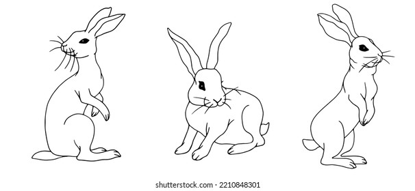 Set of linear meshes of forest hares, rabbits, vector graphics.
