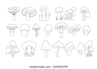 Set of linear  mushrooms, doodle style. Vector lineart image, edible and inedible mushroom plants, expanded stroke, isolated on white. Collection  elements for design.