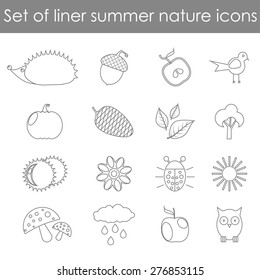 Set of linear natural summer icons. Vector illustration. Natural icons for your design.