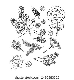 Set of linear outline flowers for a bouquet, vector illustration