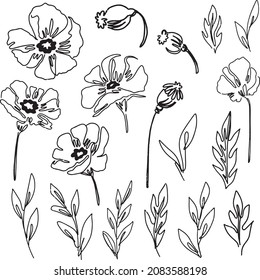 Set von linearen Pflaumen (Blumen und Blättern) einzeln auf weißem Hintergrund. Freie Handelemente.