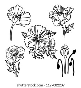 Set of linear poppy flowers. Vector illustration