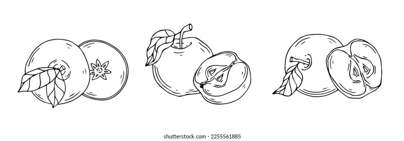 Conjunto de bocetos lineales de manzanas y trozos de fruta.Gráficos vectoriales.	