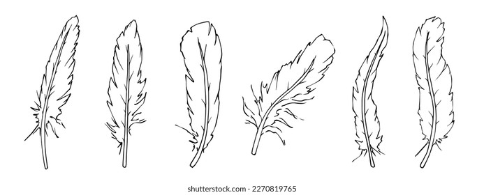 A set of linear sketches of a bird feather.Vector graphics.