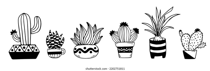 Set of linear sketches of cacti, succulents in flower pots. Doodles of indoor flowers. Vector graphics.