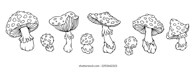 A set of linear sketches, coloring pages of forest mushrooms fly agaric.Vector graphics.	