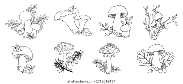 A set of linear sketches, coloring pages of forest mushrooms with leaves, grass. Vector graphics.