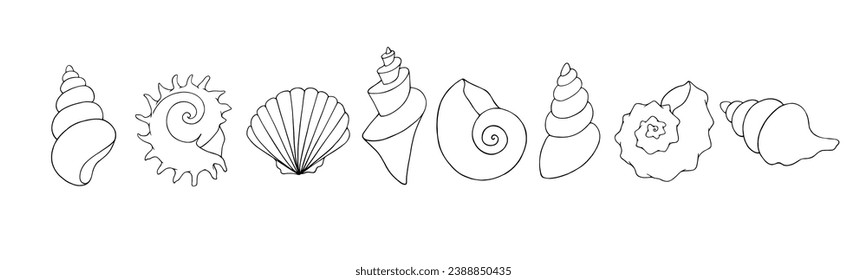 A set of linear sketches and coloring pages of seashells. Vector graphics.