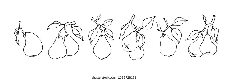 Set of linear sketches, coloring pages of seasonal fruits of pear. Vector graphics.