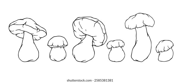 Set of linear sketches, coloring pages of white mushrooms. Vector graphics.