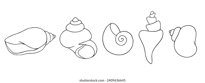 Un conjunto de bocetos lineales, color de contorno de conchas marinas. Gráficos vectoriales.