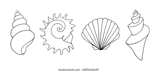 A set of linear sketches, contour coloring of seashells. Vector graphics.