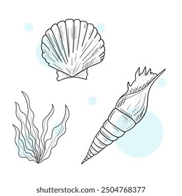 Un conjunto de bocetos lineales, coloración de contorno de conchas marinas. Vector graphics.Seashells Vector set. Ilustraciones dibujadas a mano de línea grabada. Colección de bocetos realistas de varias conchas de mar de moluscos di