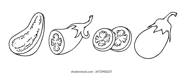 Set of linear sketches, contours of eggplant vegetables.Vector graphics.