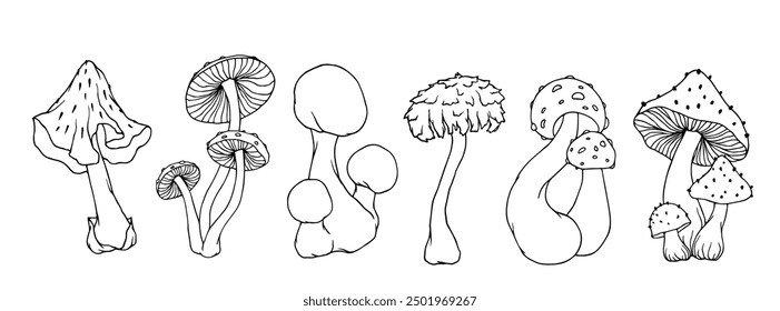 Set of linear sketches, contours of forest toadstools, fly agarics. Ornamental plants. Vector graphics.