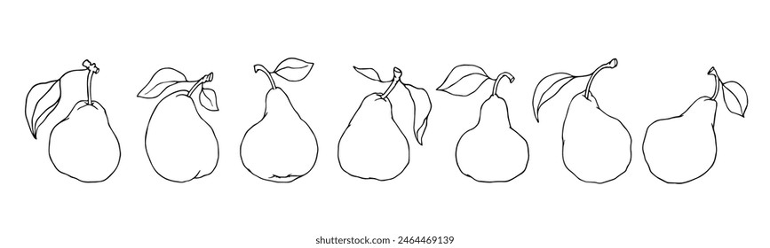 Un conjunto de bocetos lineales, contornos de frutos de pera. Vector gráfico.
