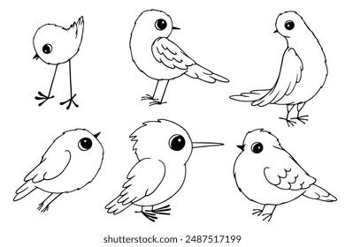 A set of linear sketches, doodles of various small birds. Vector graphics.