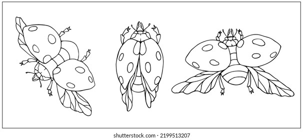 Set of linear sketches of flying ladybug insects.Vector graphics.
