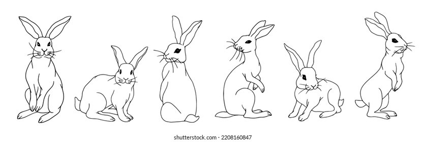 Set of linear sketches of forest animal hare, rabbit.Isolated vector graphic.