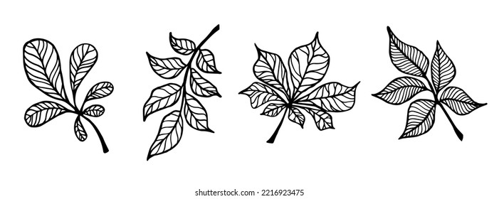 Set of linear sketches of leaves.Vector graphics.