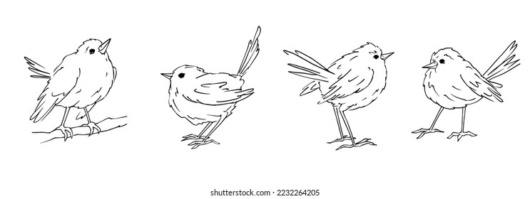 Set von linearen Skizzen kleiner Vögel.Vektorgrafik.