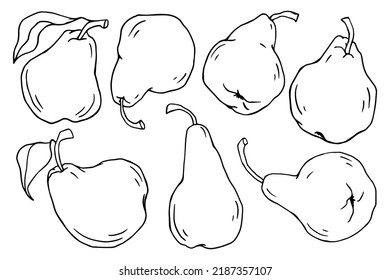 Set of linear sketches of pear fruit.Vector graphics.