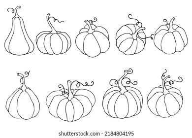 Set of linear sketches of a pumpkin.Vector graphics.