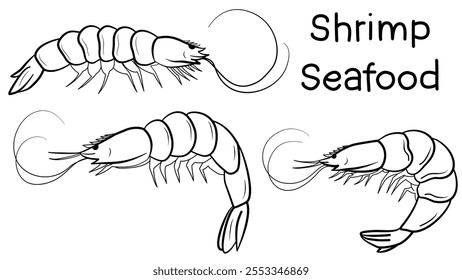 Set of linear sketches of shrimp. Set of doodle shrimp seafood. Vector shrimp hand drawn sketch .