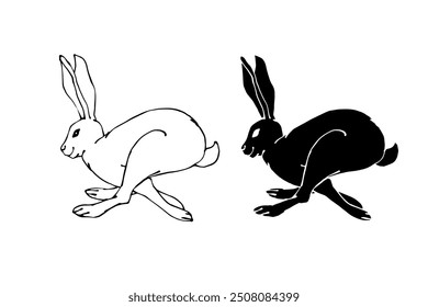 Set of linear sketches, silhouettes of hare, rabbit. Vector graphics.	