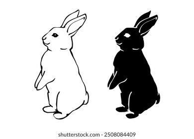 Set of linear sketches, silhouettes of hare, rabbit. Vector graphics.	