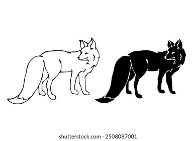 Set of linear sketches, silhouettes of a predatory forest animal fox. Vector graphics.	