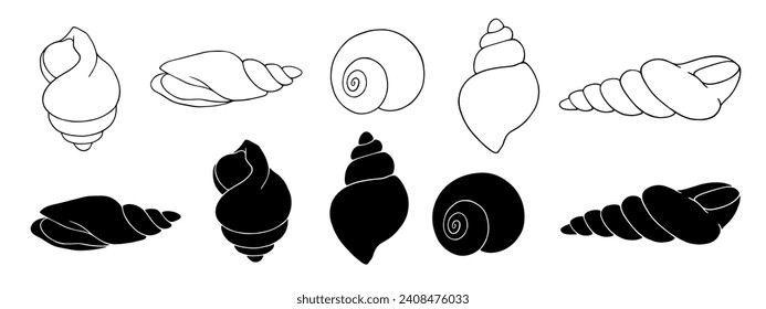 Set of linear sketches and silhouettes of seashells.Vector graphics.