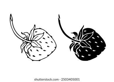 Set of linear sketches, silhouettes of strawberries, doodles of summer berries. Vector graphics.