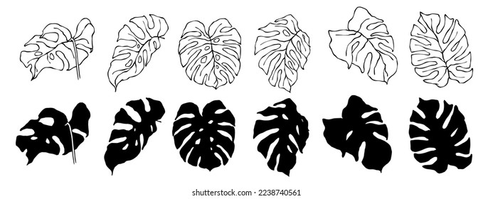 Set of linear sketches and silhouettes of tropical monstera leaves.Vector graphics.