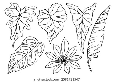 Set of linear sketches, tropical leaf contours. Simple botanical elements. Vector graphics.