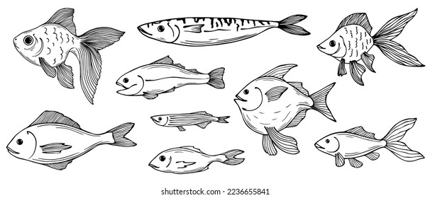 Set of linear sketches of various fish.Vector graphics.