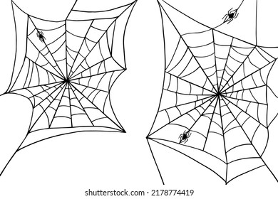 Set of linear sketches of a web with a spider.Vector graphics.