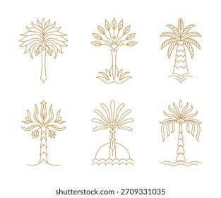 Conjunto de palmeiras estilizadas lineares. Várias ilustrações simétricas tropicais